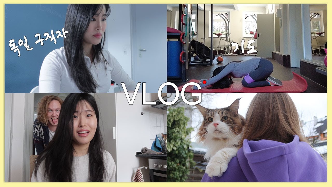 eng)독일 사는 조이씨의 취준생 일상 브이로그 (지난 면접 결과, 요리하며 tmi 근황 토크, 알리오올리오, 스키야끼, 프로틴 티라미슈 10분 레시피)