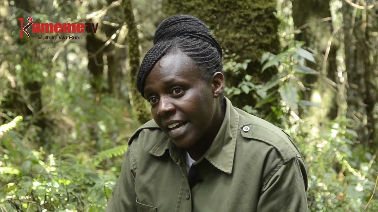 Ngatha ya uthaitiri wa nyamu cia githaka