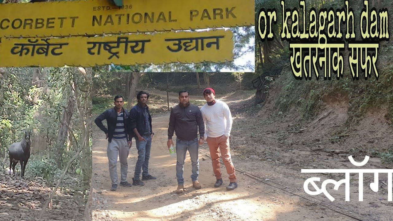 Jim corbett national park vlog 