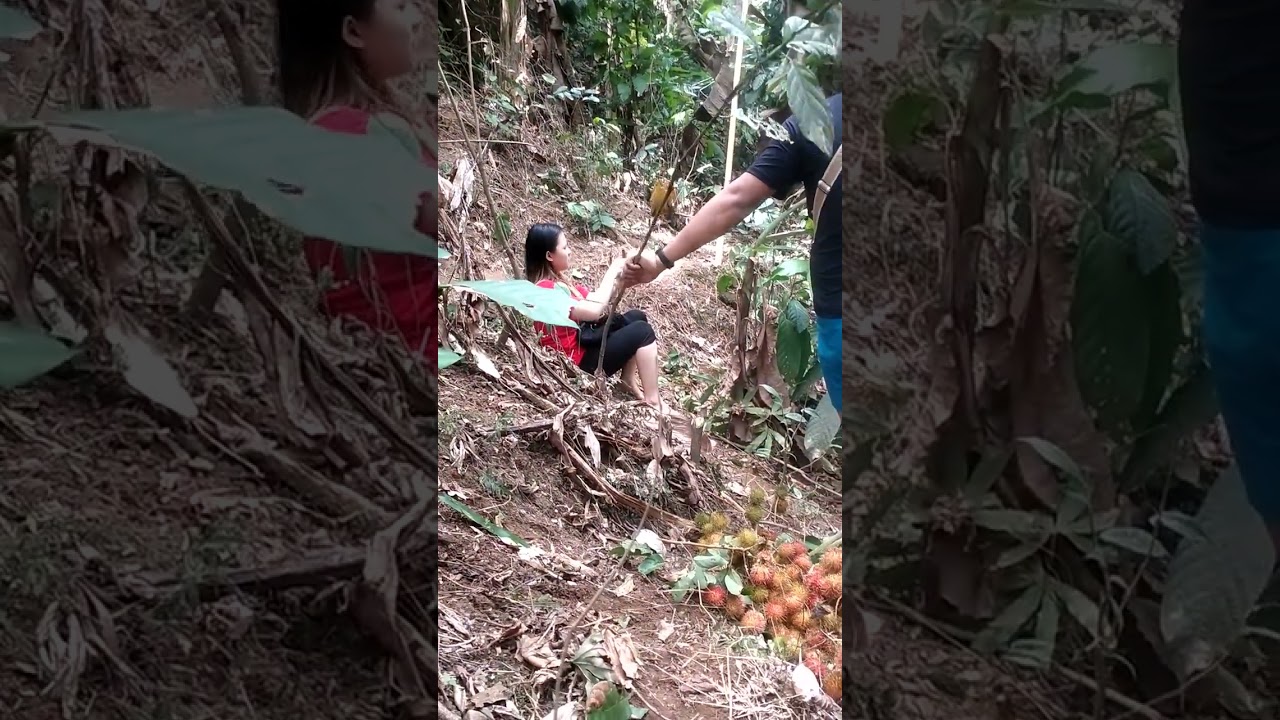 fruits 😅😅