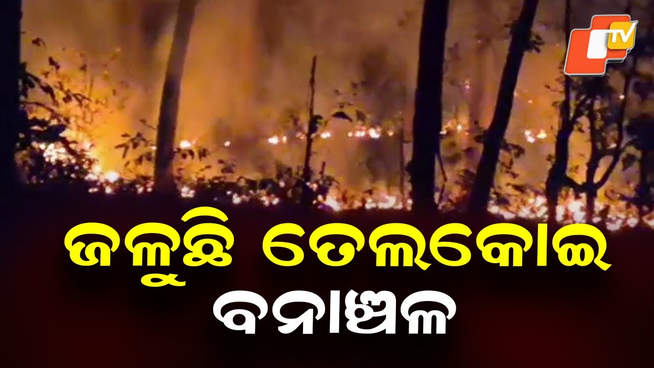 Forest Fire Erupts in Telkoi Range of Keonjhar, Wildlife and Medicinal Plants at Risk