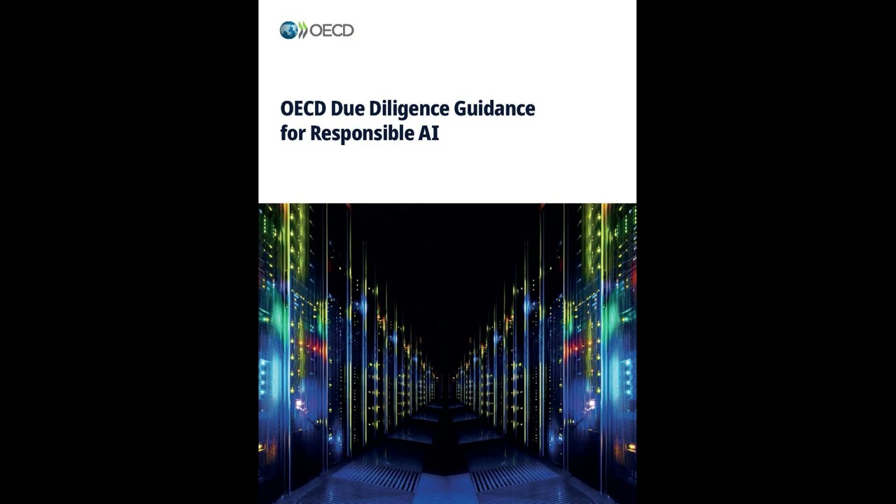 AI Auditor OECD Due Diligence Guidelines Responsible AI