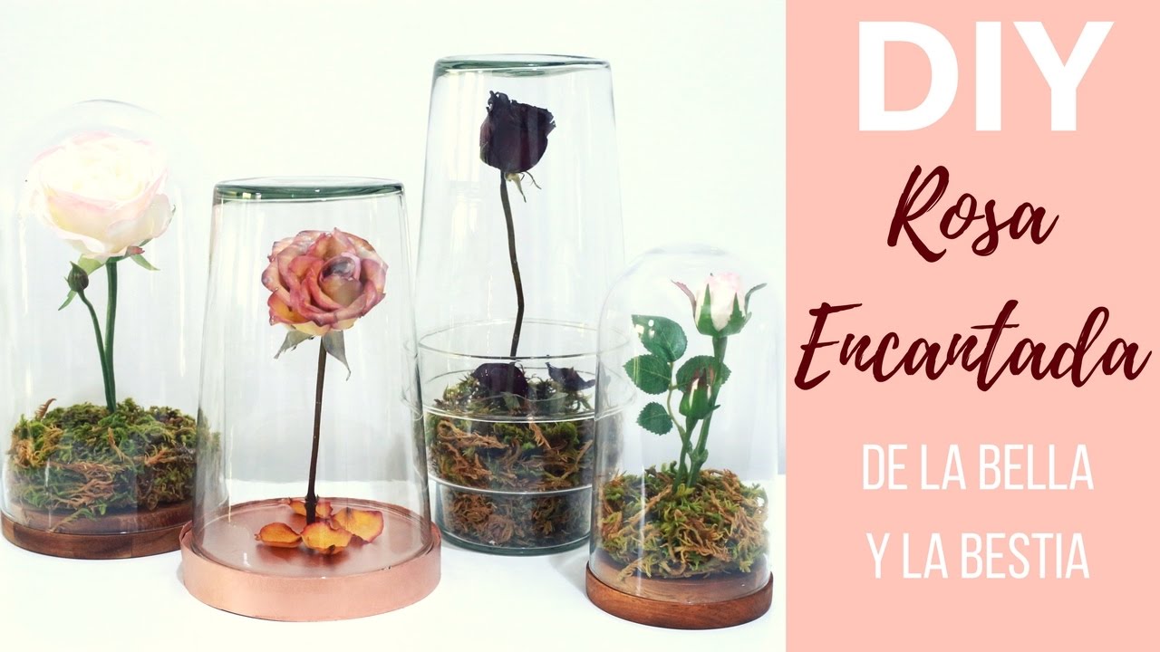 ROSA ENCANTADA DE LA BELLA Y LA BESTIA | DIY | Pabla en casa