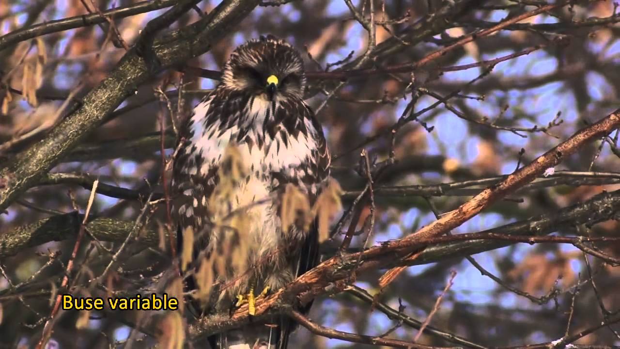 Les merveilles de l'ordinaire au Ch&acirc;teau de Longpra