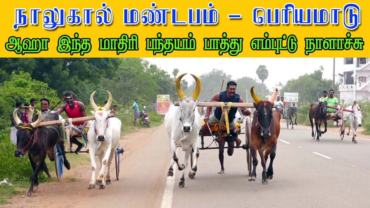 ETSS - நாலுகால் மண்டபம் (பெரியமாடு-27.12.2020)