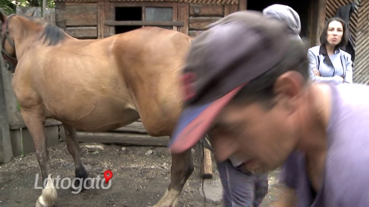 L&aacute;togat&oacute; 2017 06 27