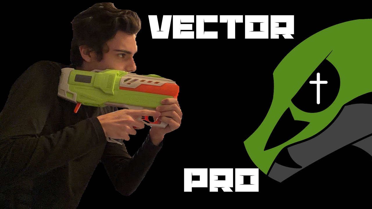 (Review) Dart Zone Vector Pro