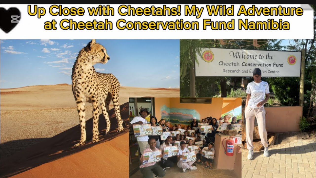 PK De Villiers S.S visited Cheetah Conservation Fund Namibia/ Namibian YouTuber
