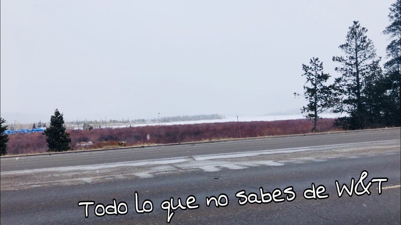 TODO LO QUE NO SABES DE W&T