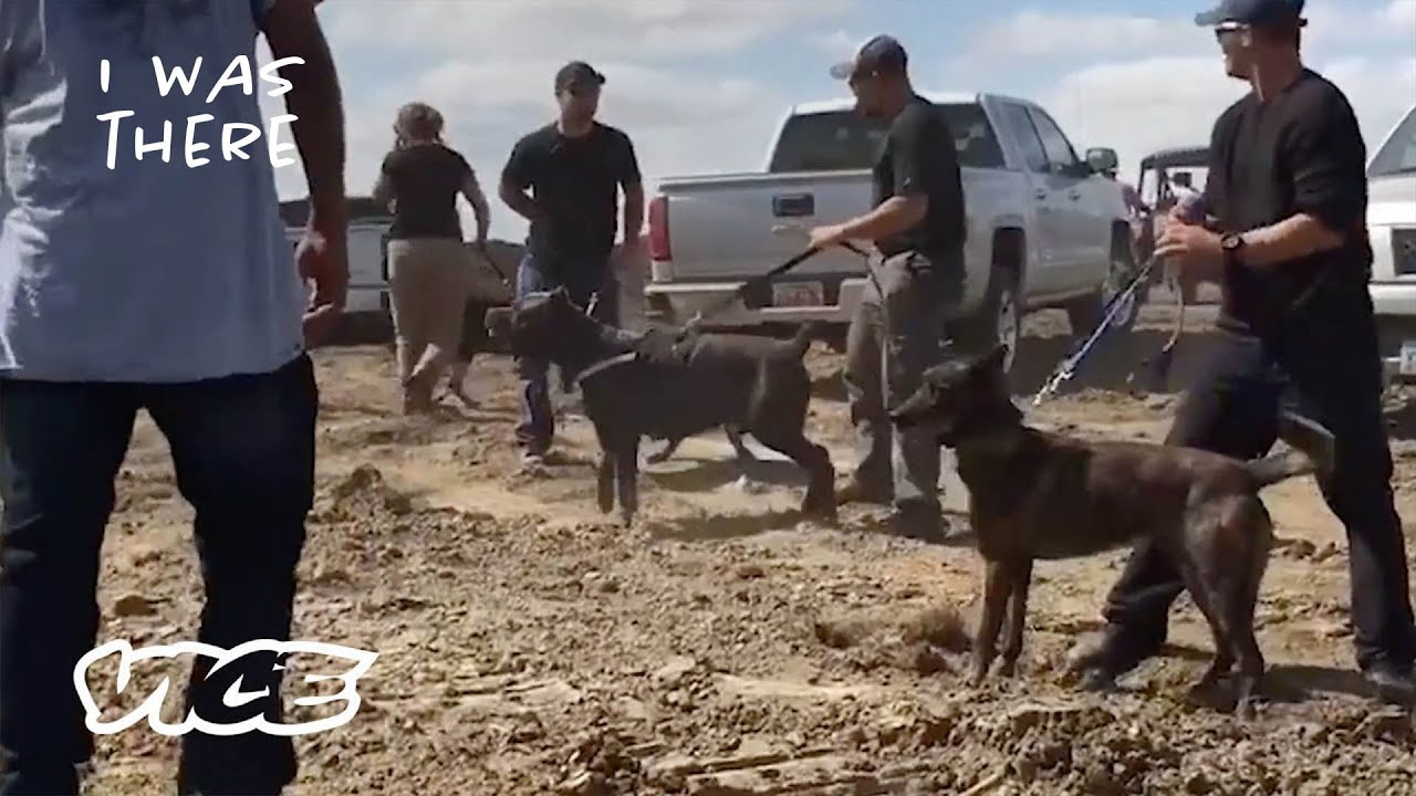 What Really Happened at Standing Rock | I Was There