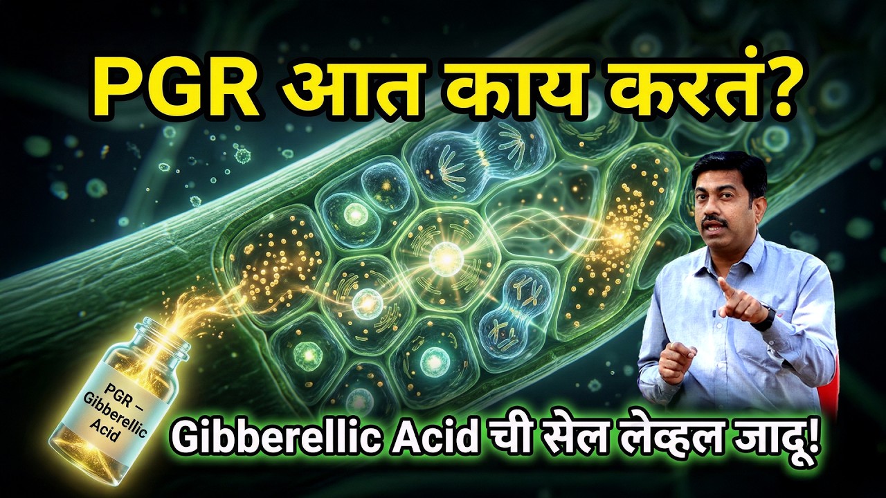 जिब्रेलिक ऍसिड | Gibberellic Acid (GA3) फायदे आणि तोटे |  PGR कसे काम करते | AgroStar