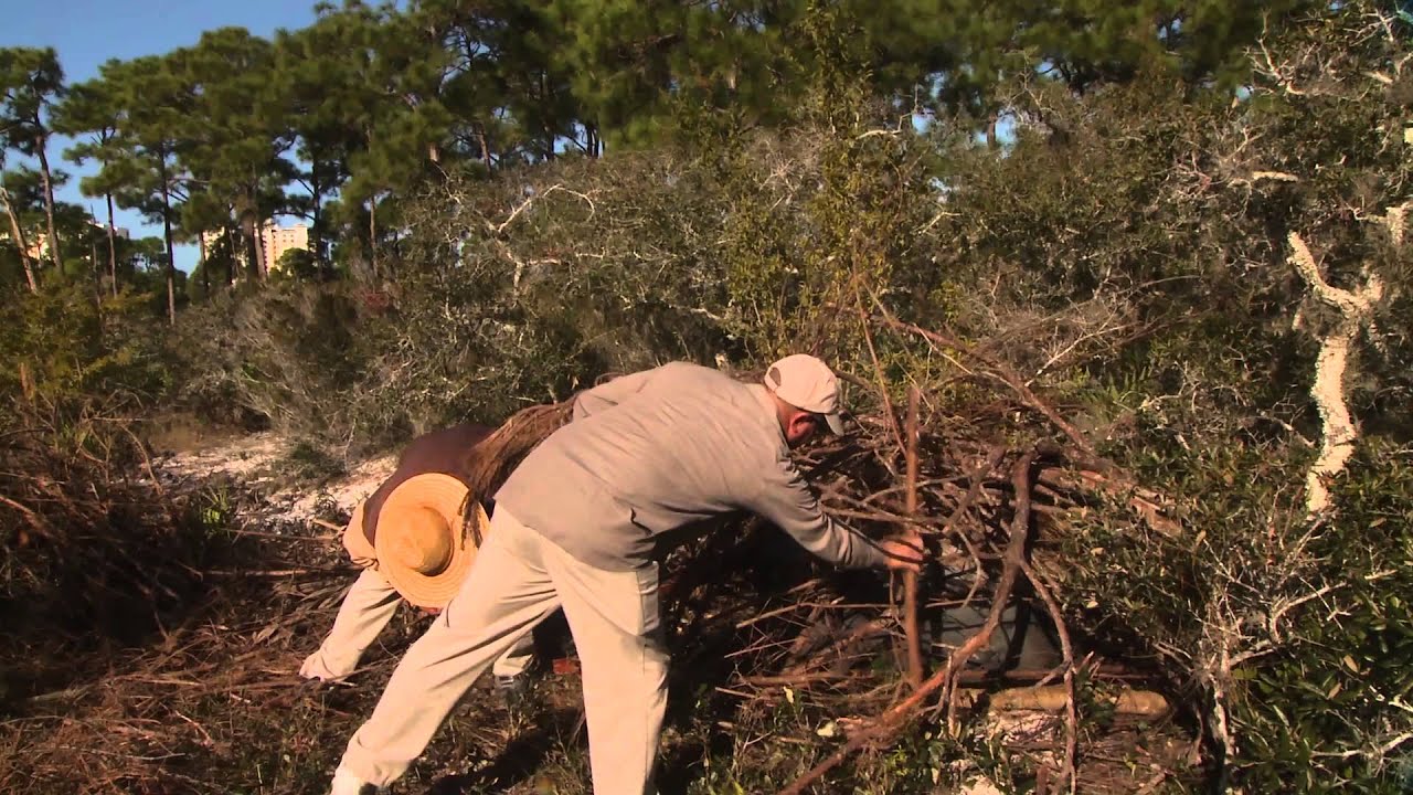 Sustainable Moments with Tim Hiers, CGCS at The Old Collier Golf Club