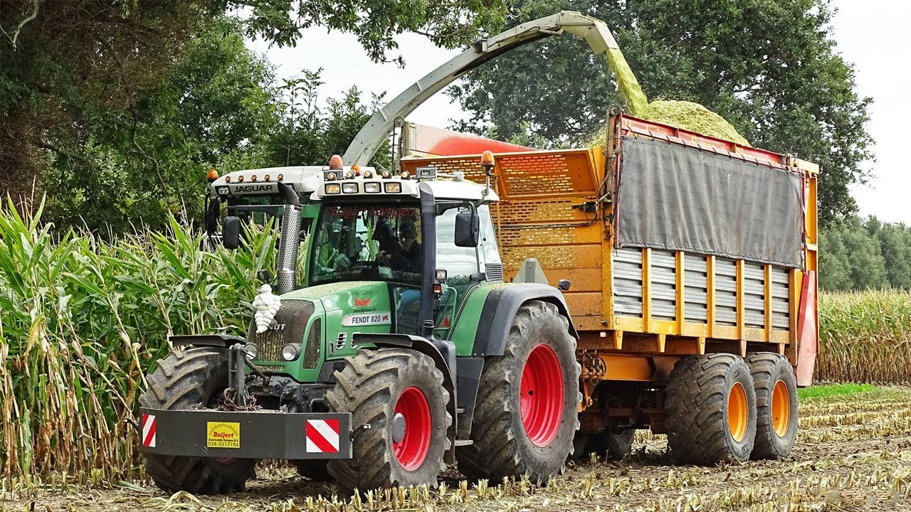 Mais Silage | Claas Jaguar 870 + Fendt + Deutz-Fahr + Pottinger + Strautmann | Buijert | 2019