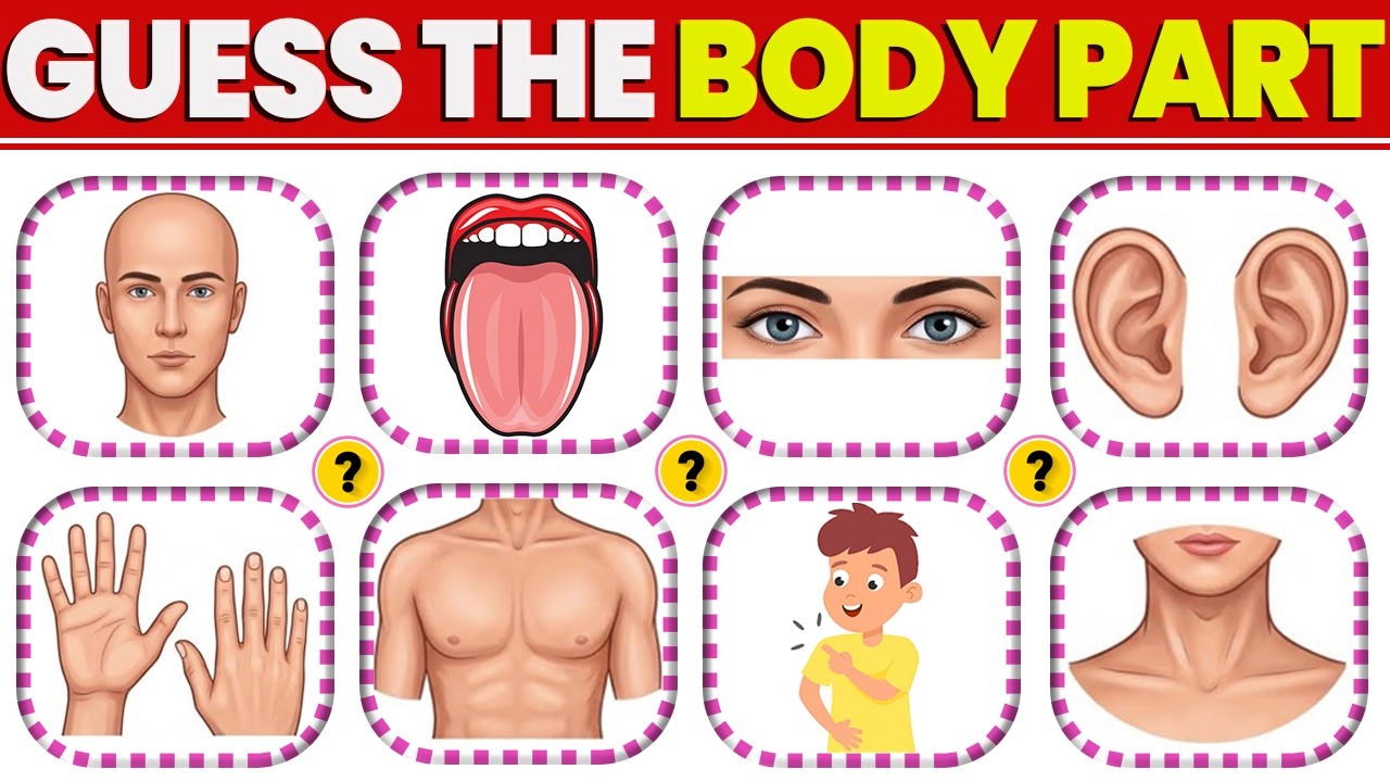 GUESS THE BODY PART 🧠 | Fun Kids Quiz for Learning