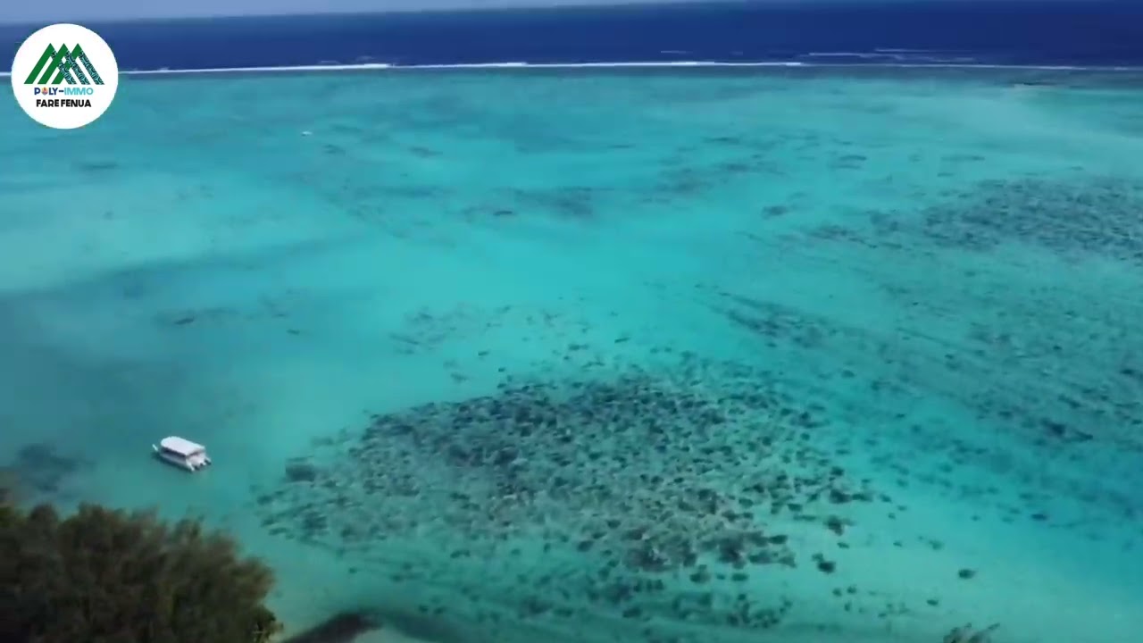 Magnifique terrain bord de mer à Moorea en exclusivité ￼