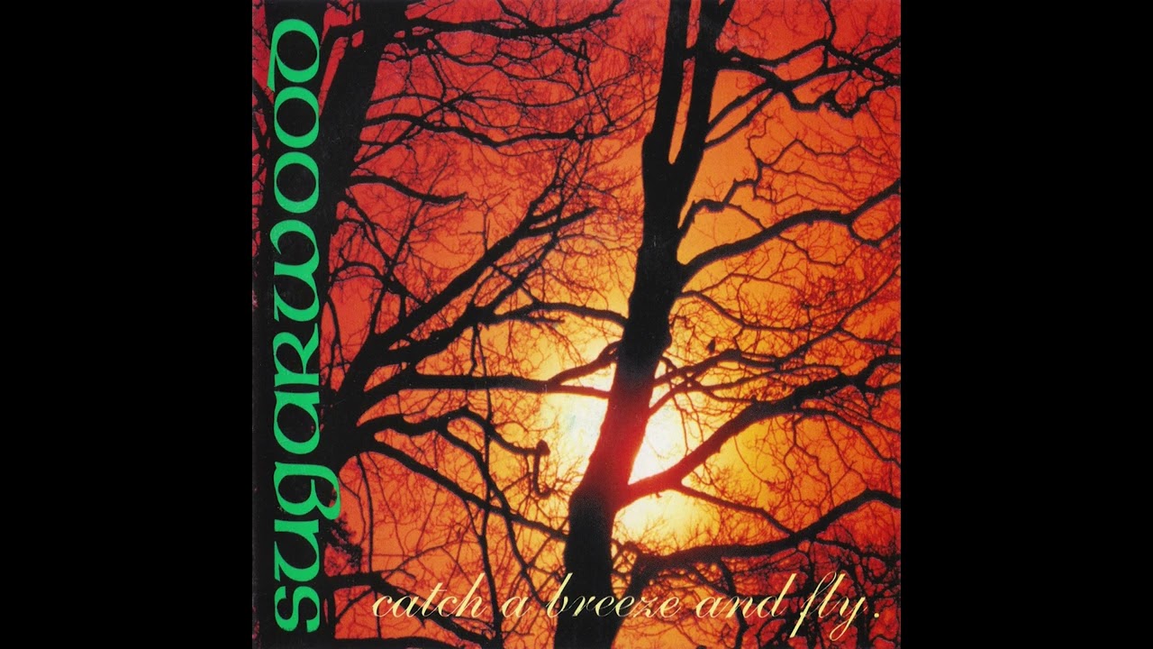 Sugarwood - Catch a Breeze and Fly (1997, CD)