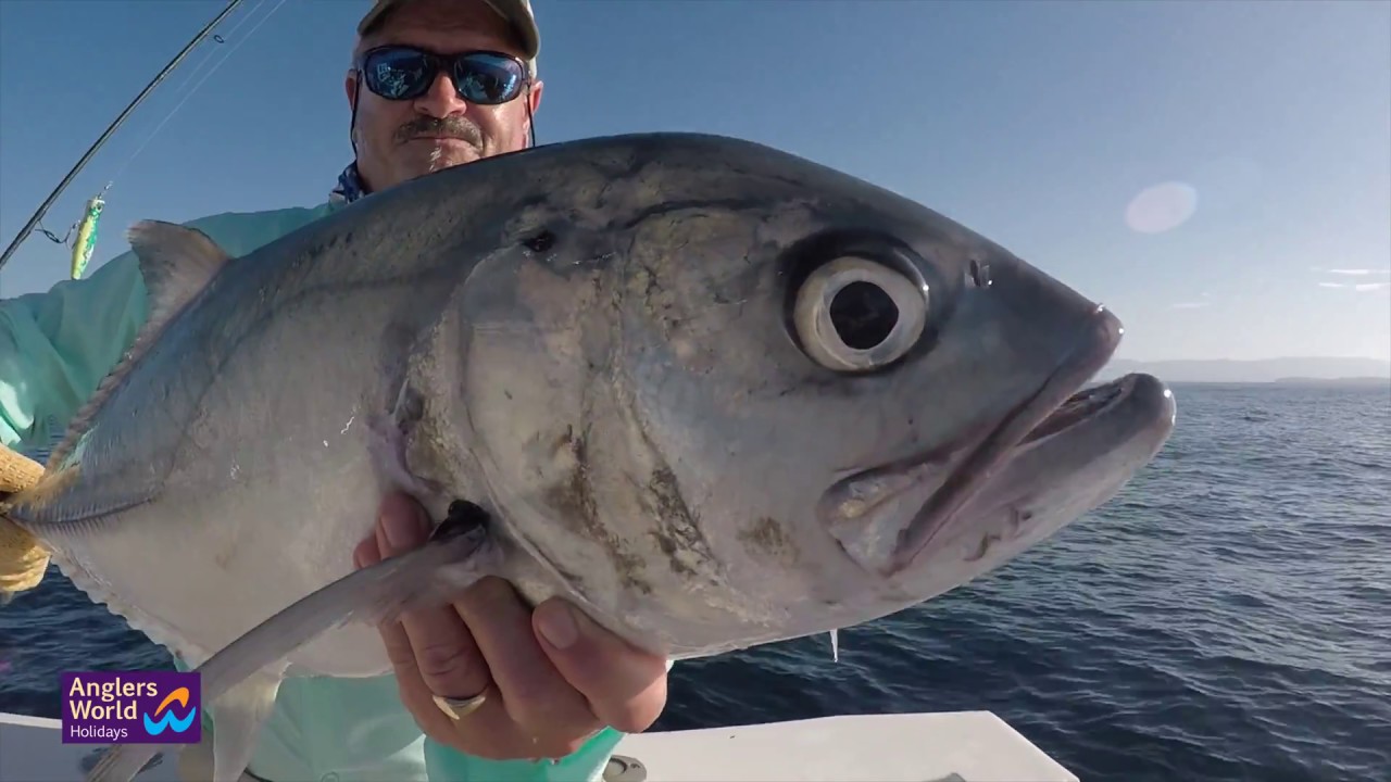 Panama Lure Fishing