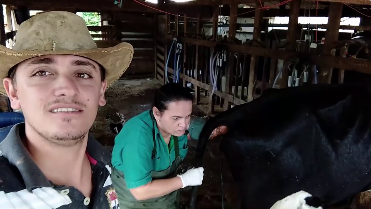 FAZENDO ULTRASSOM EM VACAS *somos 30.000 *