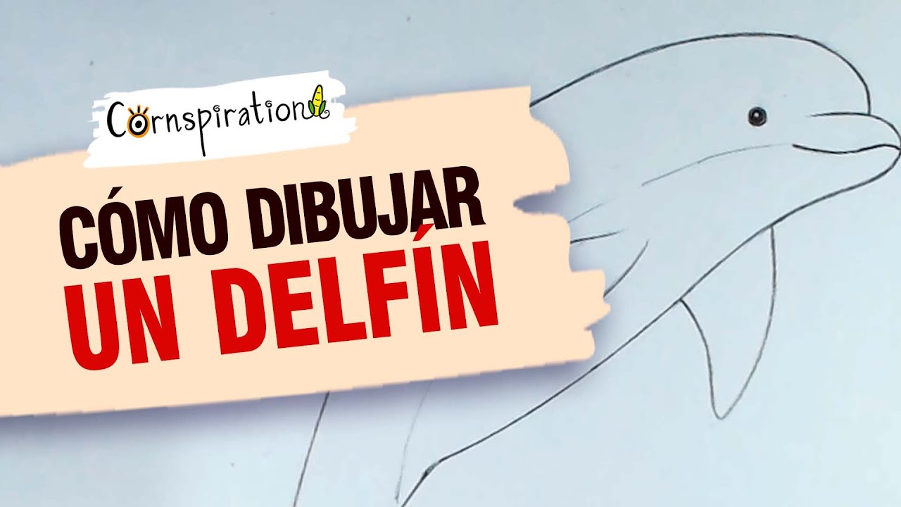 C&oacute;mo dibujar un Delf&iacute;n 🐬