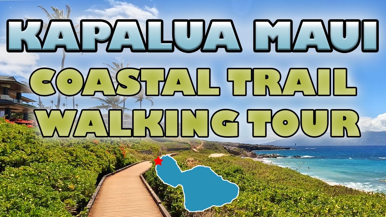 Kapalua Maui Coastal Trail Walking Tour With Snorkeling in Hawaii Hiking DT Fleming Green Sea Turtle
