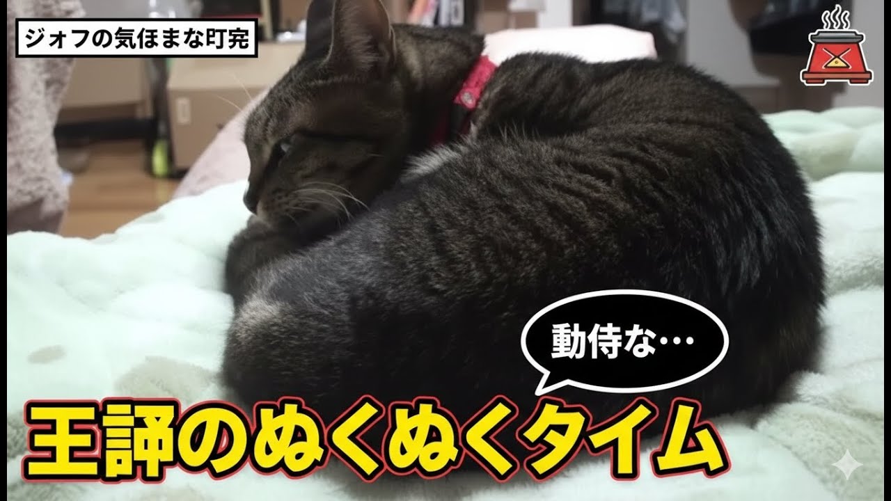 【何故】中よりも上が好きなジロウくん　Jiro prefers top ranks over middle ranks.