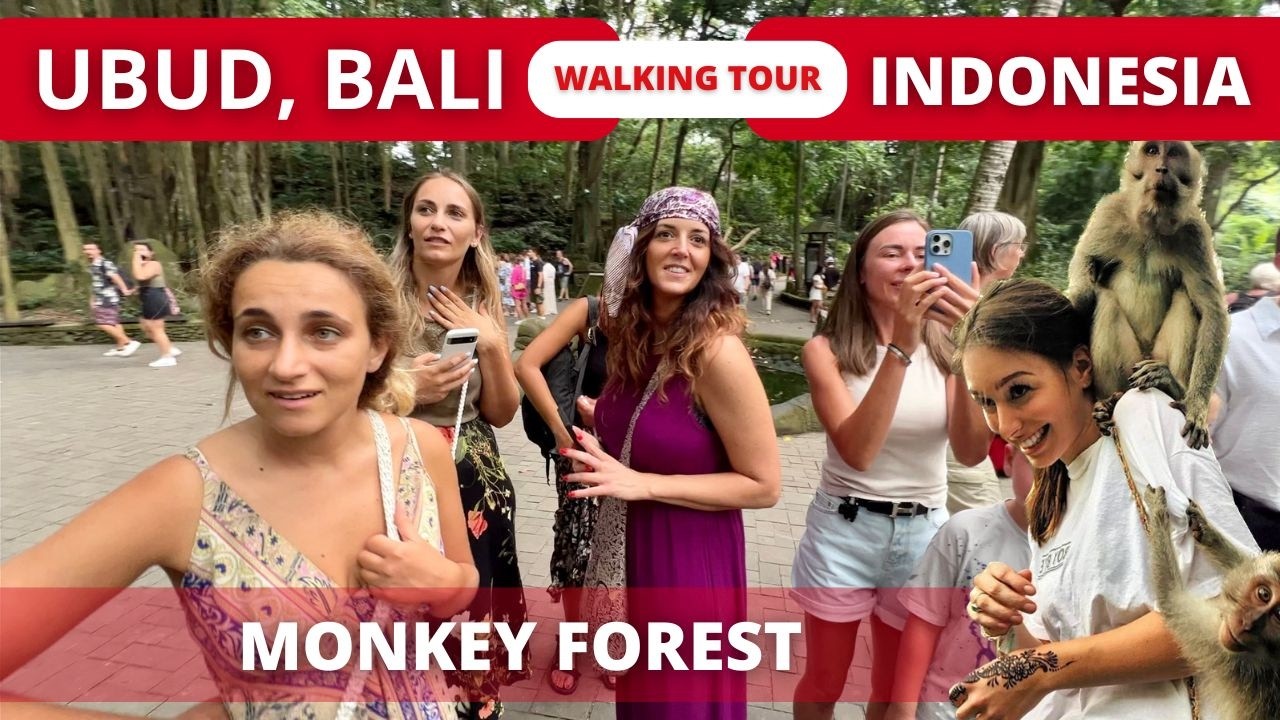 EXPLORE UBUD BALI TODAY 🇮🇩 Beautiful MONKEY Forest WALK 4k | Indonesia 2024 Travel Vlog