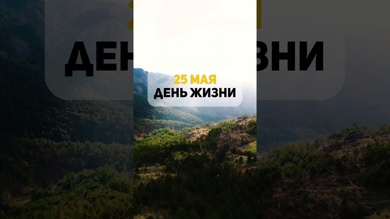 25 мая - твой лучший день в жизни 