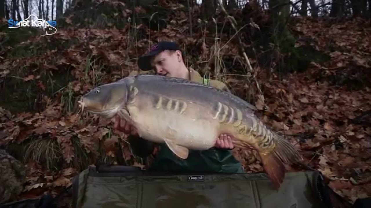 Ekipa Sticky Baits na Rybniku - jesień 2015. Prezentacja nowości 2016.