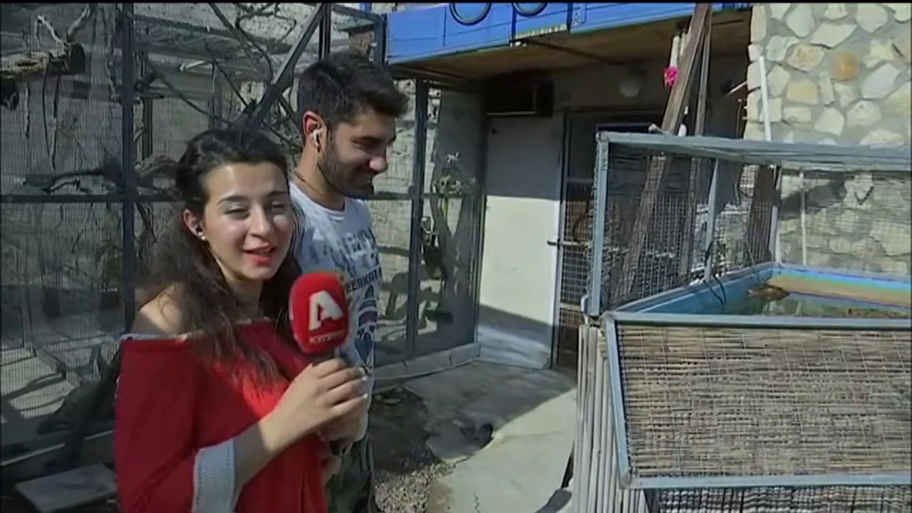 Κροκόδειλος και τεράστιες σαρκοφάγες σαύρες στην Κύπρο