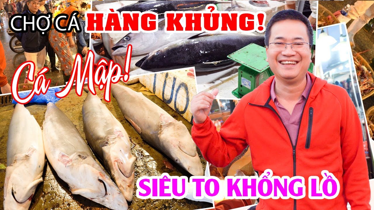 CẢNG CÁ THỌ QUANG | Nửa đêm đột nhập Chợ Hải Sản lớn nhất Đà Nẵng toàn Cá Mập Siêu To Khổng Lồ
