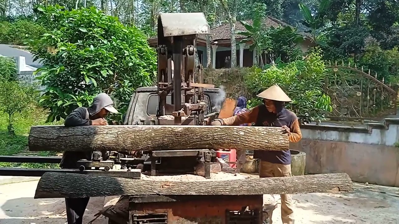 LUAR BIASA..!!! Cukup 3 orang untuk gergaji kayu mahoni super besar...