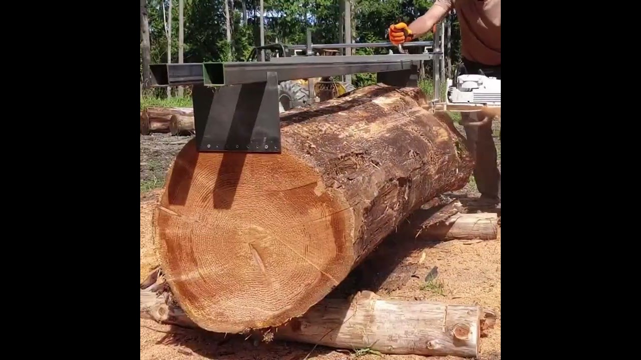 Chainsaw Mill Setup & 1st Cut