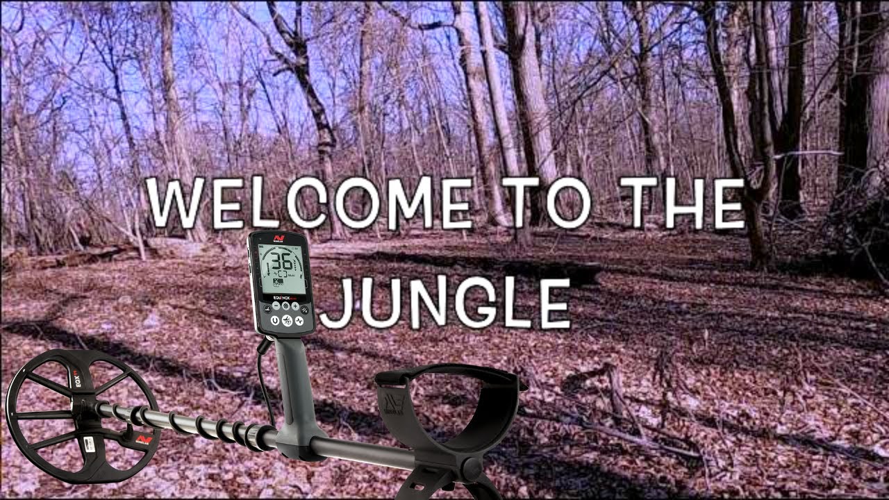 Welcome To The Jungle: Metal Detecting NYC, Minelab Equinox Vs. Forest