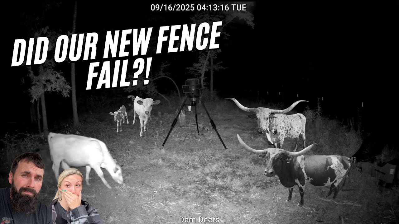 CRAZY Things That Happened on Our Farm Last Night!
