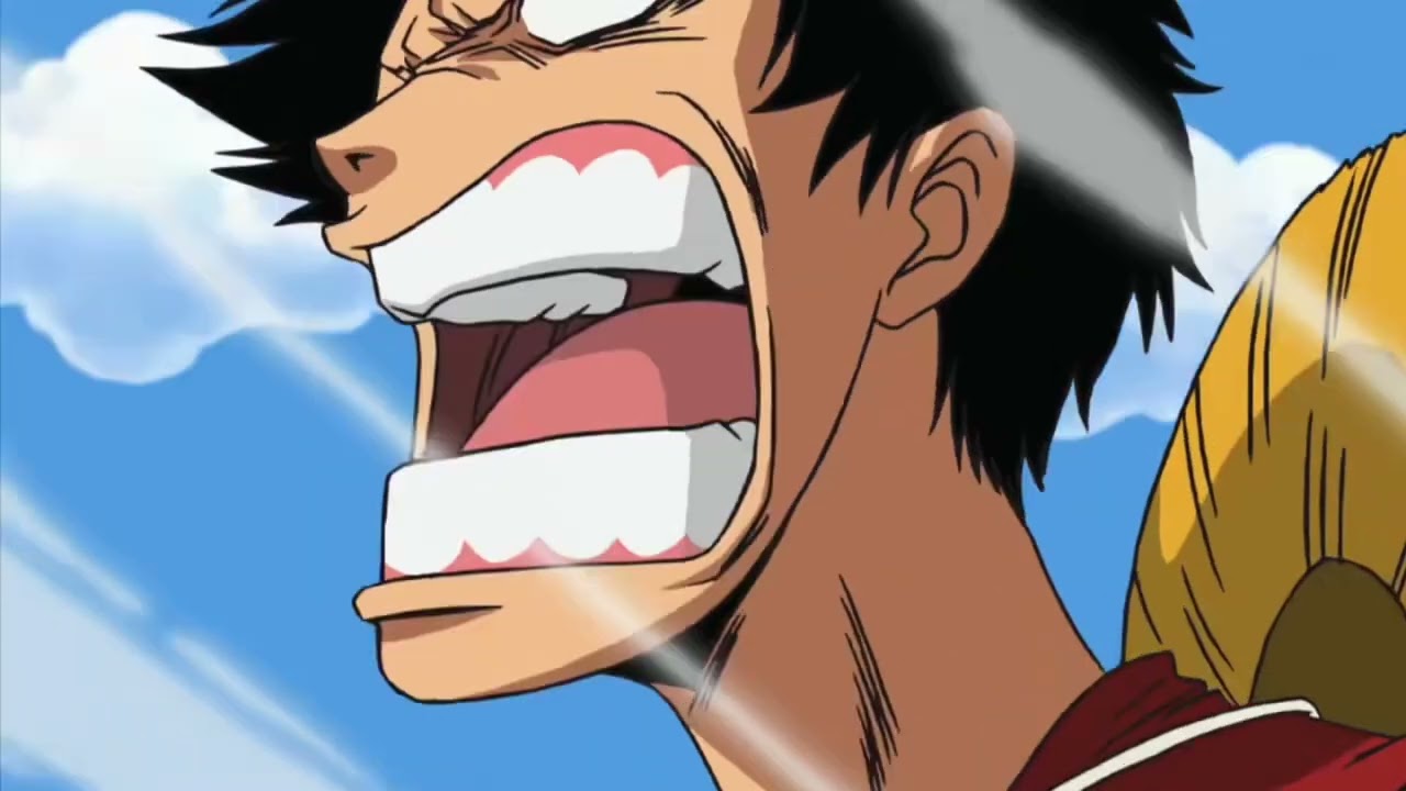 The Straw Hat pirets Declaration war on the world Government by Luffy
