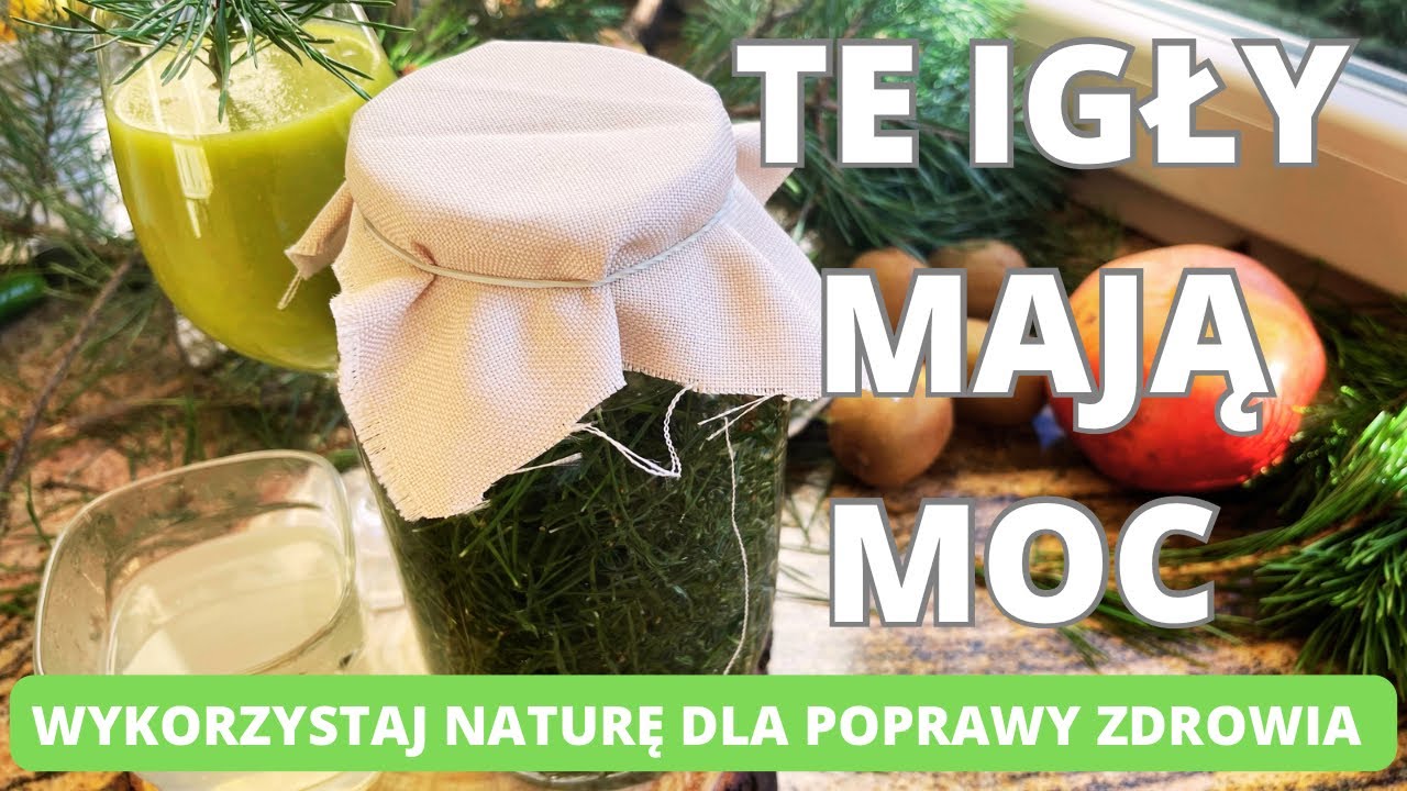 Sosna- te igły mają moc cz. 2. Wykorzystaj naturę dla poprawy swojego zdrowia. #zioła #sosna