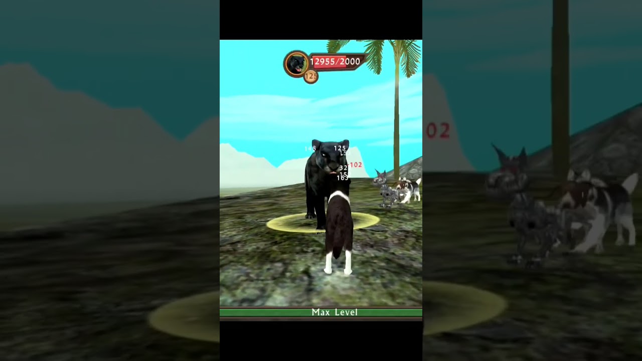 Defeating panther .