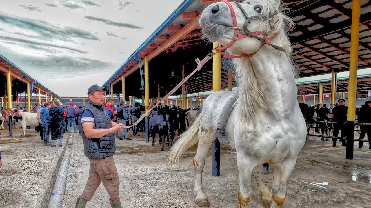 ОТ БОЗОР 