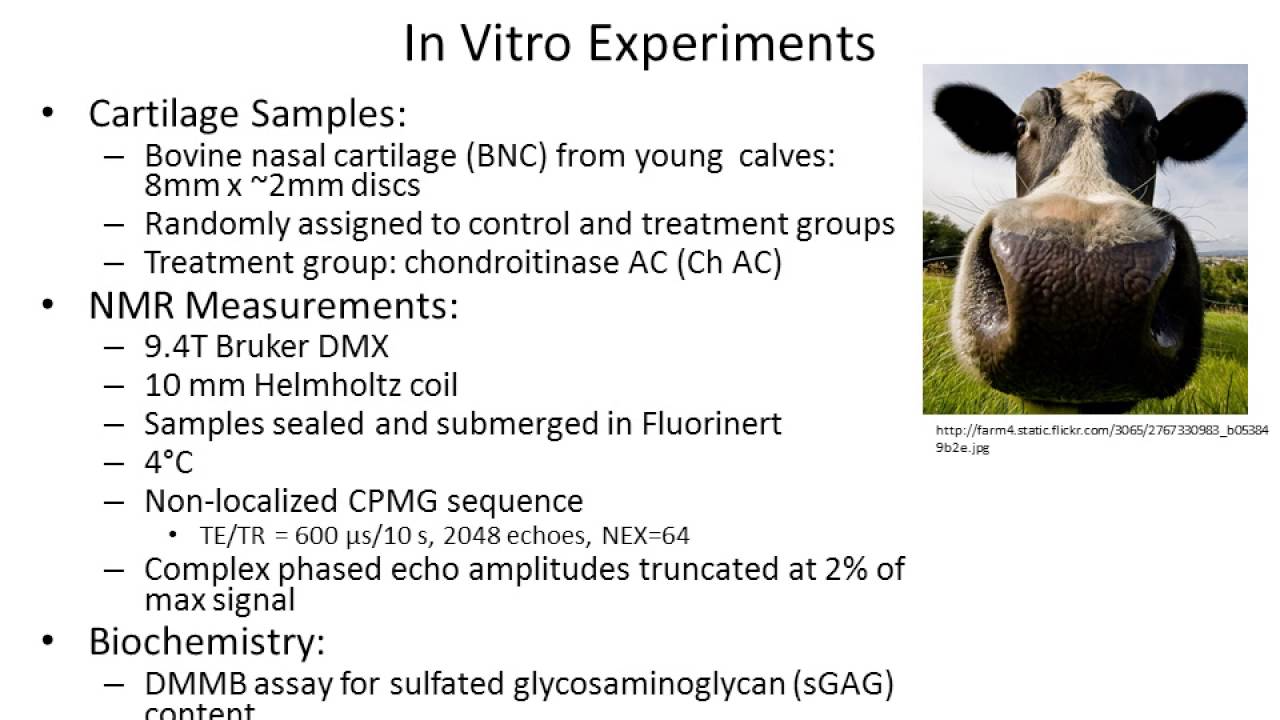 David Reiter: Anomalous T2 Relaxation in Cartilage