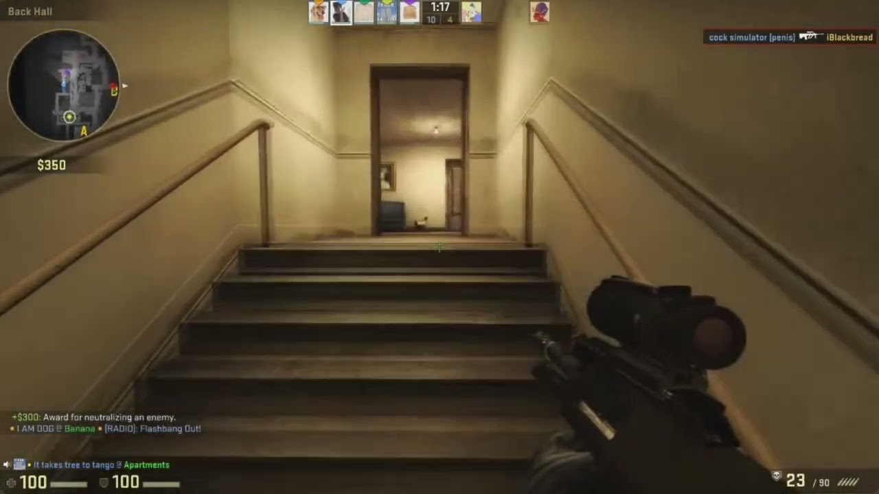 Albertsstuff CS:GO Compilation