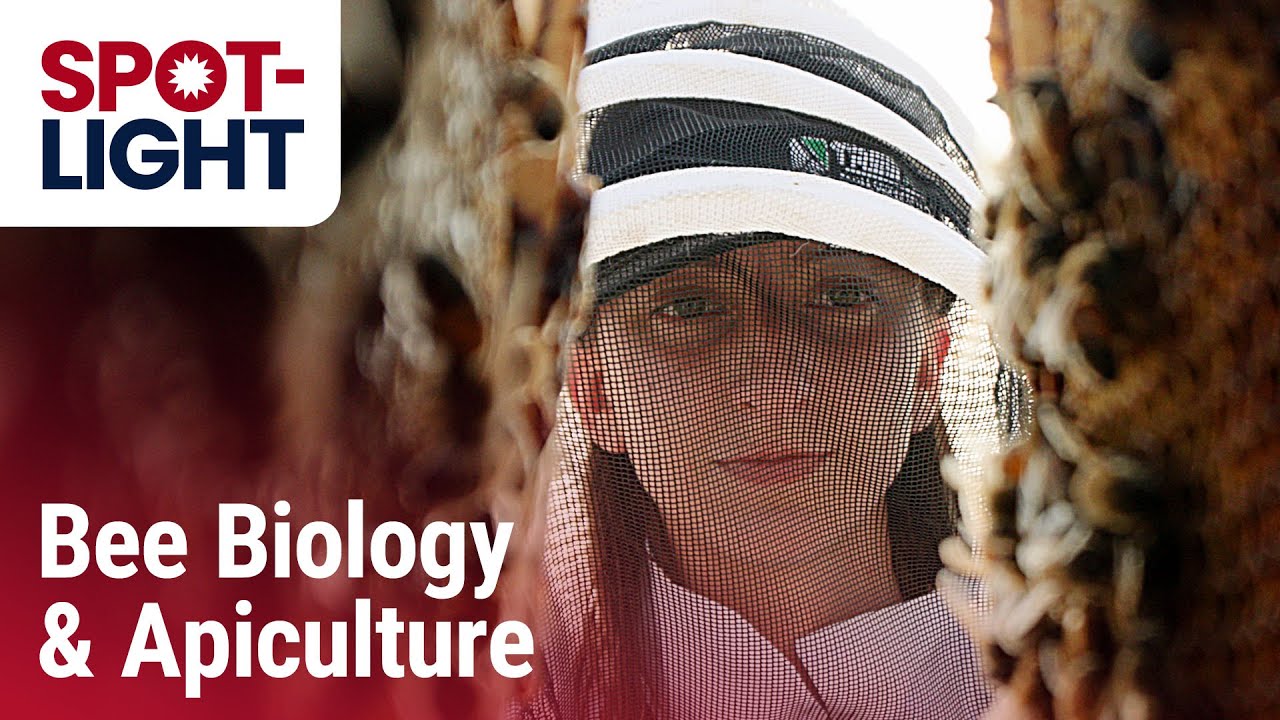 Bee glad we didn't say this class has a real buzz | Plant Science 170T