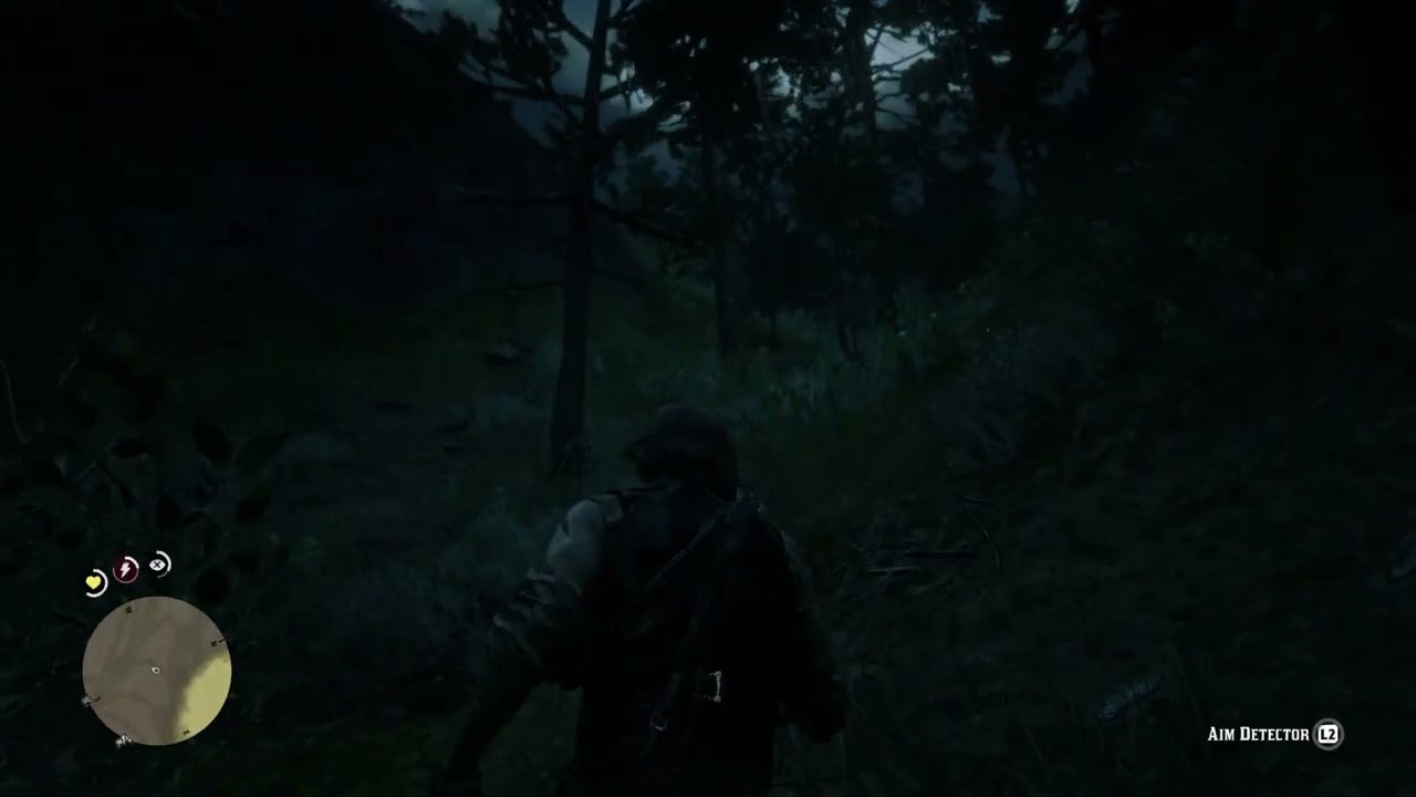 Red Dead Redemption 2 part64
