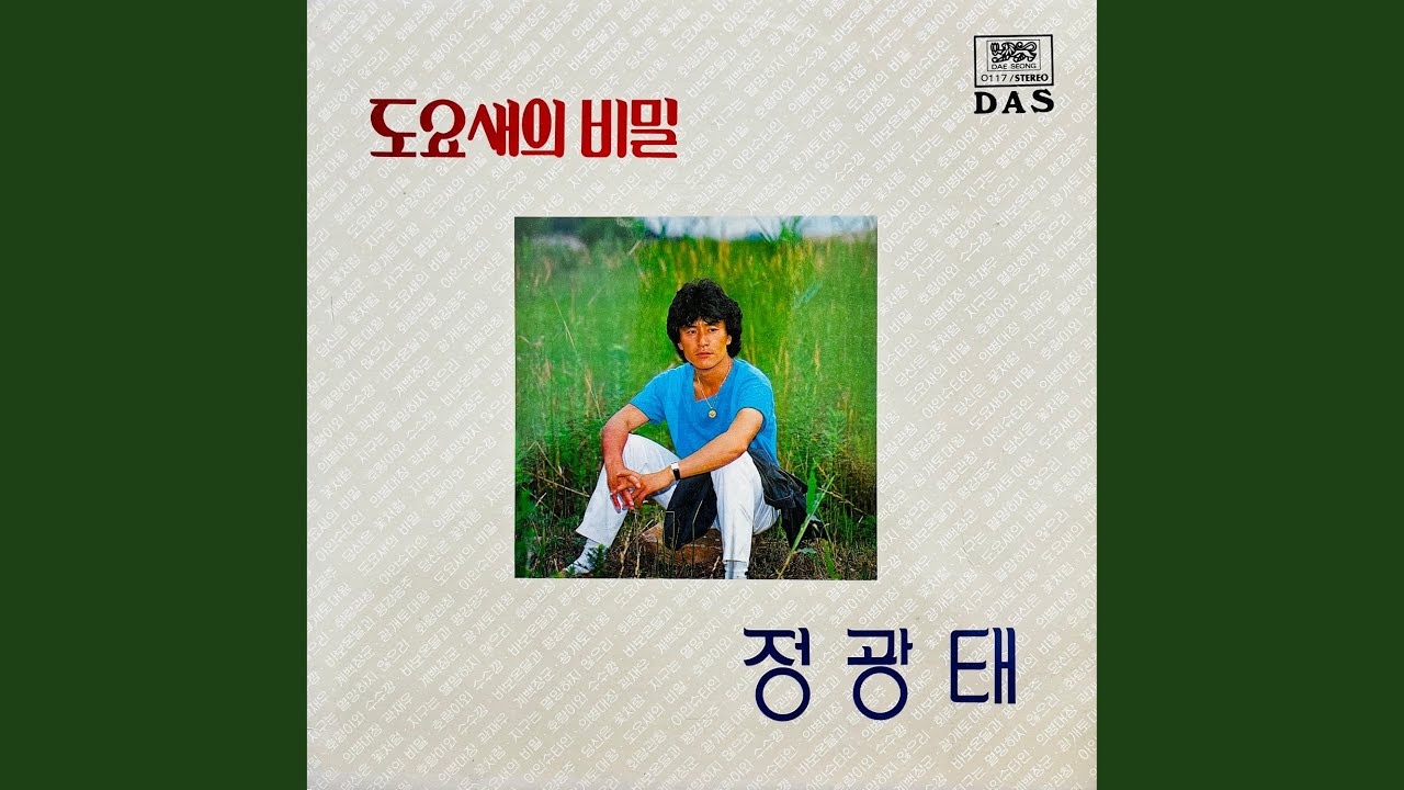 도요새의 비밀
