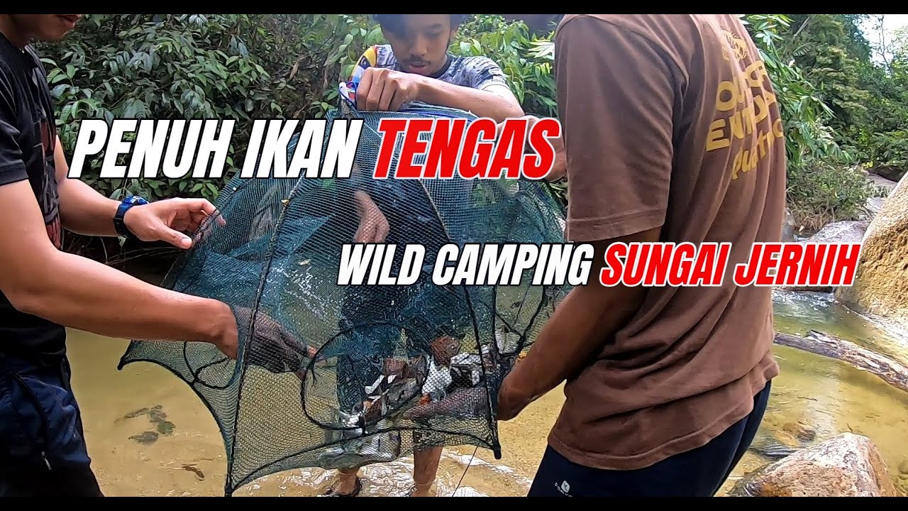 Bubu Payung Banyak Ikan Tengas | Wild Camping Sungai Air Terjun Jernih Di Hutan Tersembunyi