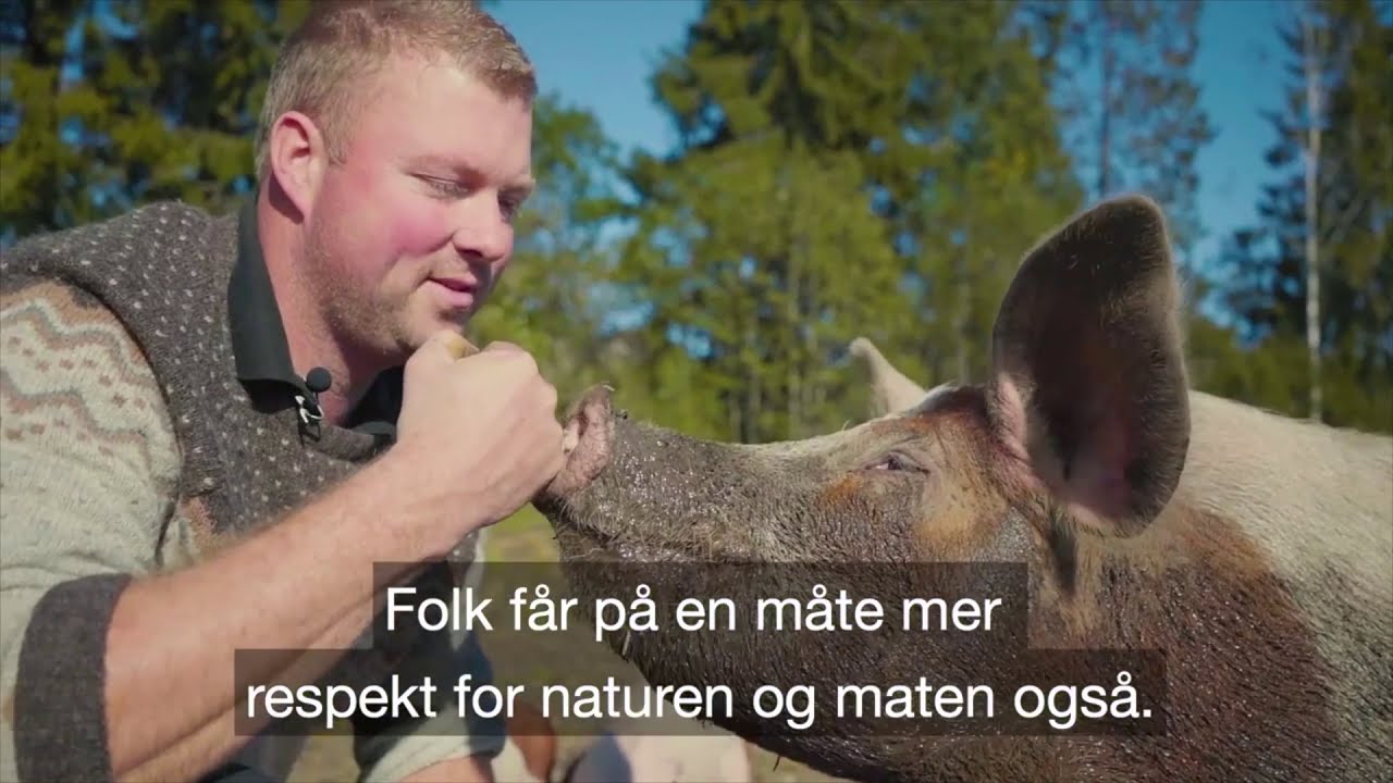 Hva er andelslandbruk? Laget av Matmerk, økologisk.no