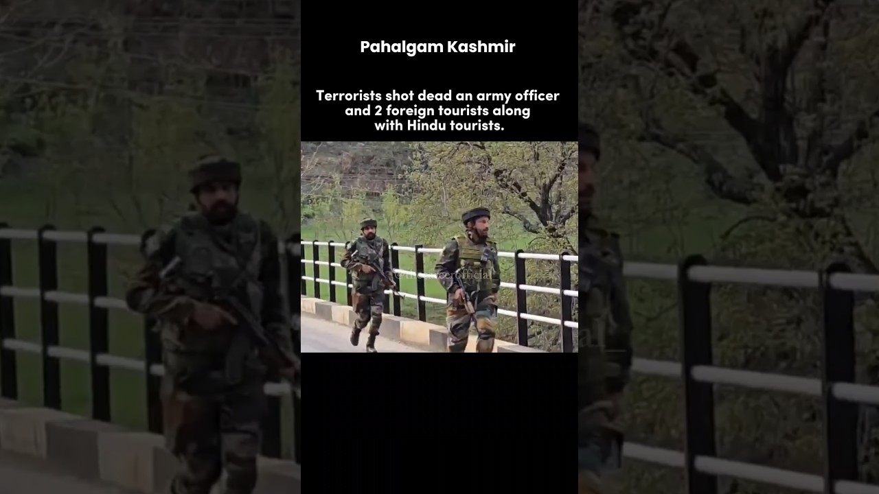 kashmir security forces came into action 😱 