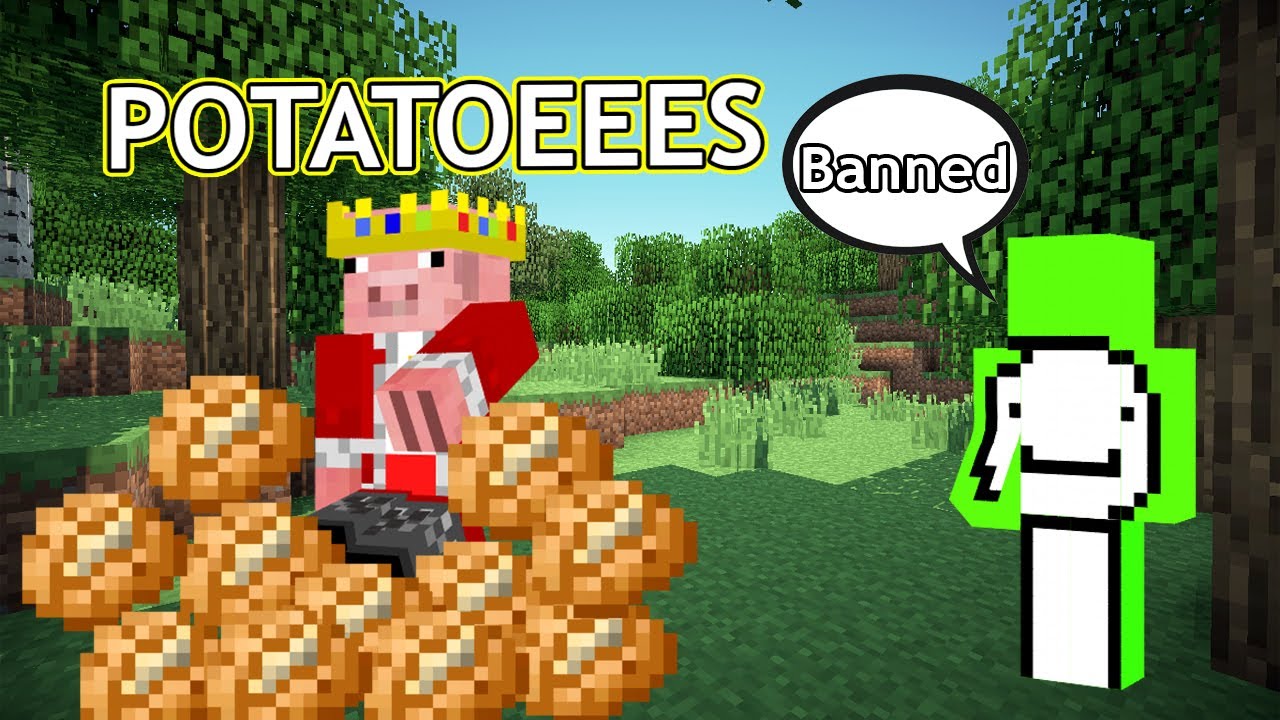 technoblade FUNNIEST dream smp moments (one month after joining)