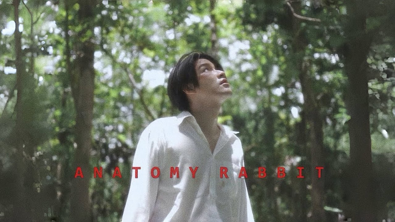 ANATOMY RABBIT - PAST & PRESENT [ OFFICIAL MV ]