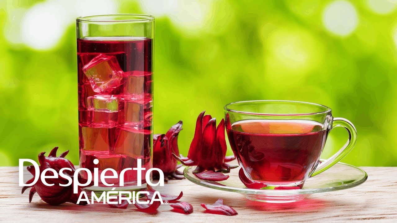 ¿Cuáles son los beneficios del té o agua de flor de jamaica? Dr. Juan nos dice cómo se debe tomar