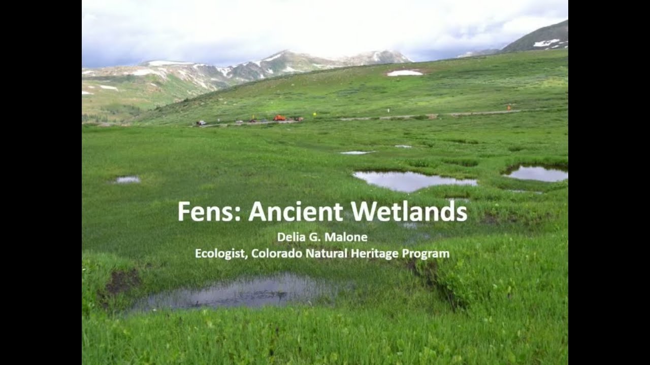 Ancient Wetlands - 